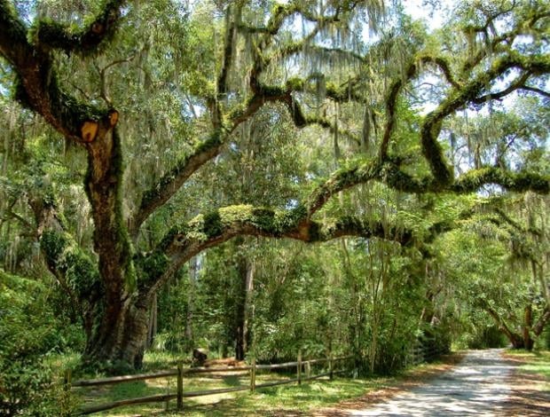  TEN {AMAZING} THINGS TO DO IN BLUFFTON, SC